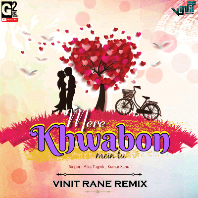 Mere Khwabon Mein Tu - Vinit Rane Remix